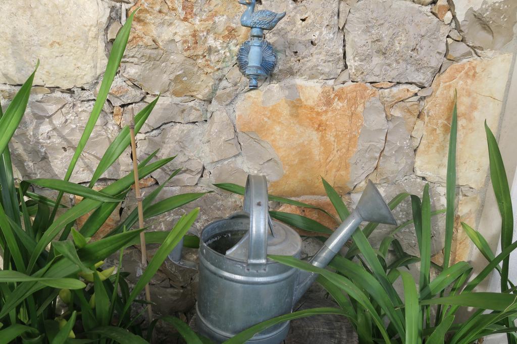 Noz Por Cá... Turismo Em Espaco Rural Alcaria (Leiria) Exterior foto